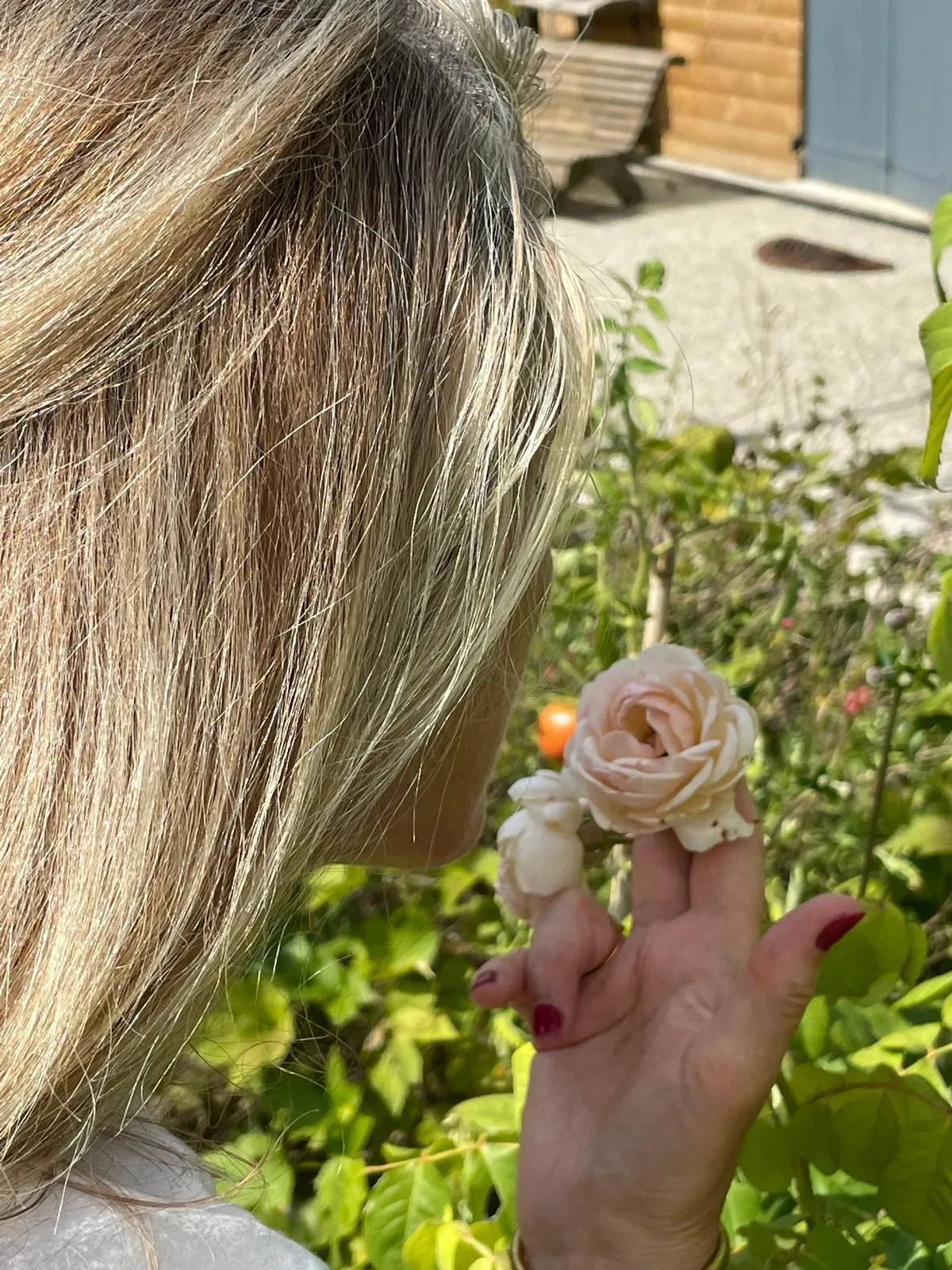 Carole Berthelot se reconnecte à la nature en respirant une rose en été